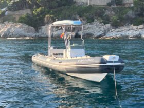 Tiger marine 650 dive master