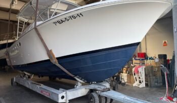 WhatsApp Image 2025-09-11 at 08.32.25 (1)