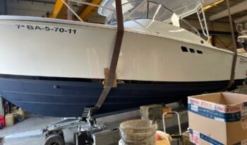 WhatsApp Image 2025-09-11 at 08.32.26 (1)