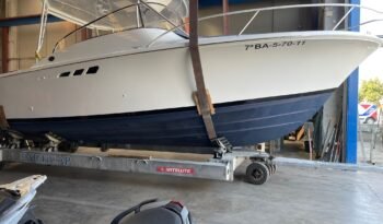 WhatsApp Image 2025-09-11 at 08.32.26