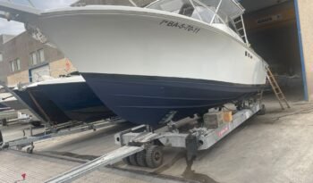 WhatsApp Image 2025-09-11 at 08.32.26 (4)