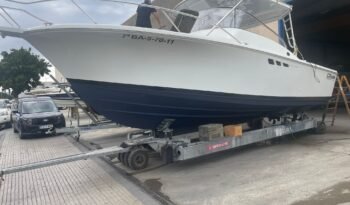 WhatsApp Image 2025-09-11 at 08.32.26 (6)