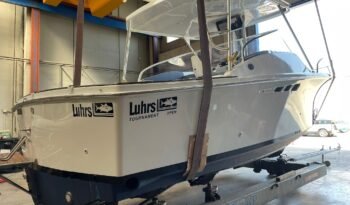 WhatsApp Image 2025-09-11 at 08.32.27